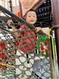 人气：502  上传时间：2019/10/11 13:45:23