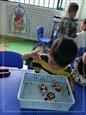 人气：489  上传时间：2019/10/11 11:45:02