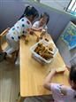 人气：243  上传时间：2019/10/12 12:56:11