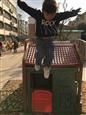 人气：401  上传时间：2019/10/16 16:41:17