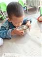 人气：498  上传时间：2019/10/18 13:22:09
