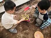 人气：540  上传时间：2019/10/18 13:28:09