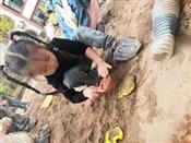 人气：521  上传时间：2019/10/18 13:28:10