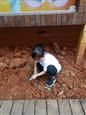 人气：520  上传时间：2019/10/18 14:03:08
