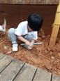 人气：484  上传时间：2019/10/18 14:03:12