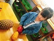 人气：605  上传时间：2019/10/18 16:50:32