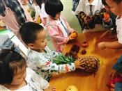 人气：590  上传时间：2019/10/18 16:50:32