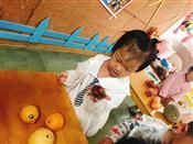 人气：624  上传时间：2019/10/18 16:50:34