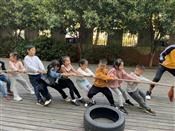 人气：169  上传时间：2019/10/18 7:52:36