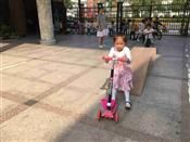人气：436  上传时间：2019/10/24 13:51:21