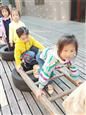 人气：485  上传时间：2019/10/25 14:29:46