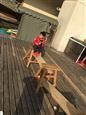 人气：502  上传时间：2019/10/25 16:23:28