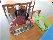 人气：636  上传时间：2019/10/25 11:44:18