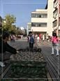 人气：481  上传时间：2019/10/25 12:44:41