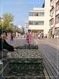 人气：444  上传时间：2019/10/25 12:44:45