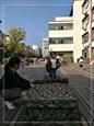 人气：470  上传时间：2019/10/25 12:44:50