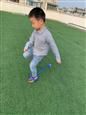 人气：241  上传时间：2019/10/25 12:55:48