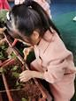 人气：263  上传时间：2019/10/29 13:36:25
