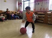 人气：424  上传时间：2019/10/30 12:18:04
