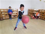 人气：418  上传时间：2019/10/30 12:18:14