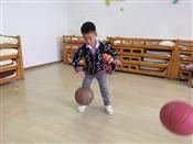 人气：421  上传时间：2019/10/30 12:18:15