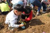 人气：422  上传时间：2019/11/1 14:53:21