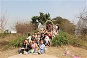 人气：404  上传时间：2019/11/1 14:53:23