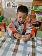 人气：449  上传时间：2019/11/1 7:46:28