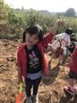 人气：487  上传时间：2019/11/1 9:56:55