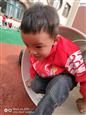 人气：500  上传时间：2019/11/1 10:43:22