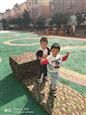 人气：502  上传时间：2019/11/1 10:46:30