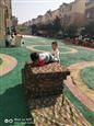 人气：531  上传时间：2019/11/1 10:46:42