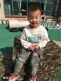 人气：529  上传时间：2019/11/1 10:46:54