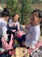 人气：230  上传时间：2019/11/1 12:07:27