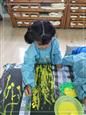 人气：458  上传时间：2019/11/1 12:44:06