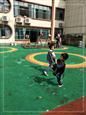 人气：440  上传时间：2019/11/1 12:48:25