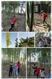 人气：479  上传时间：2019/11/1 12:53:55