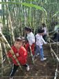人气：552  上传时间：2019/11/1 12:56:36