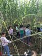 人气：472  上传时间：2019/11/1 12:56:38
