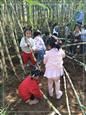 人气：509  上传时间：2019/11/1 12:56:44