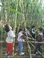 人气：469  上传时间：2019/11/1 12:56:50