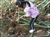 人气：477  上传时间：2019/11/1 12:56:54