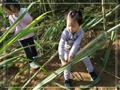 人气：455  上传时间：2019/11/1 12:56:59
