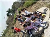 人气：424  上传时间：2019/11/1 12:58:46