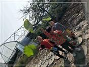 人气：503  上传时间：2019/11/1 12:58:55