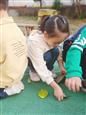 人气：511  上传时间：2019/11/8 16:12:51