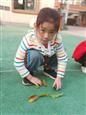 人气：493  上传时间：2019/11/8 16:13:23