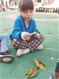 人气：456  上传时间：2019/11/8 16:13:37