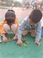 人气：493  上传时间：2019/11/8 16:13:47