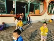人气：469  上传时间：2019/11/8 16:24:20